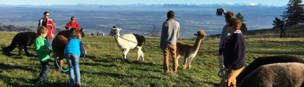 lamatrekking jura